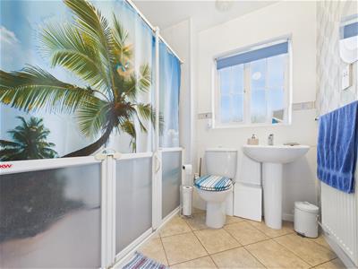 Picture 17